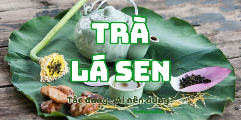 “Trà Lá Sen” có tác dụng gì? Ai nên dùng và Cách dùng như thế nào?